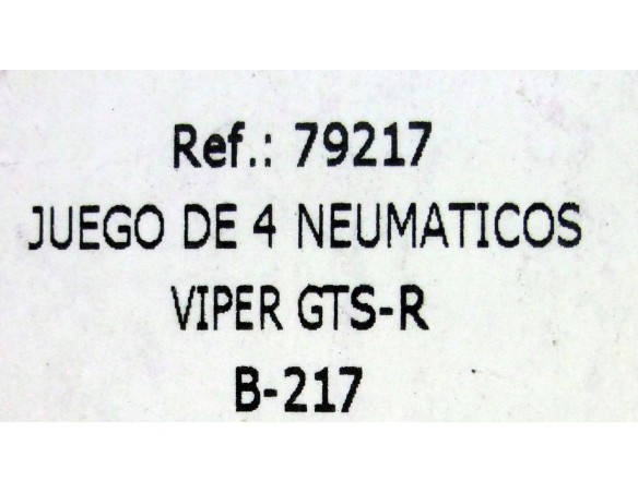 JUEGO DE 4 NEUMATICOS VIPER GTS-R B217 REF.79217 FLY