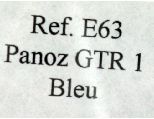 PANOZ GTR1 BLEU EDICION FRANCIA REF.E63 FLY