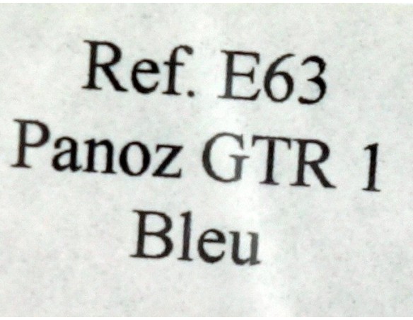 PANOZ GTR1 BLEU EDICION FRANCIA REF.E63 FLY