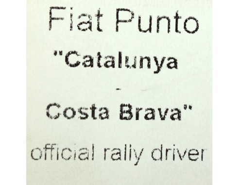 FIAT PUNTO CATALUNYA COSTA BRAVA OFICIAL RALLY DRIVER NINCO