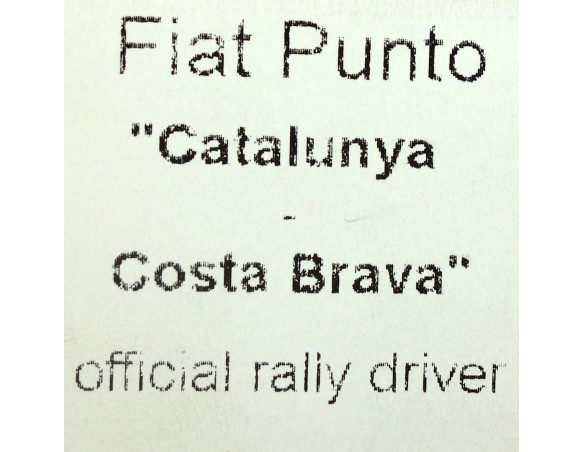 FIAT PUNTO CATALUNYA COSTA BRAVA OFICIAL RALLY DRIVER NINCO