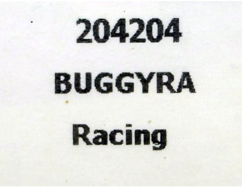 CAMION BUGGYRA RACING AMARILLO REF.204204 FLY