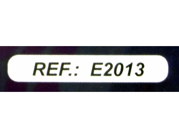 FERRARI GTO 250 GOODWOOD TOURIST TROPHY 1962 MIKE PARKES REF.E2013 FLY