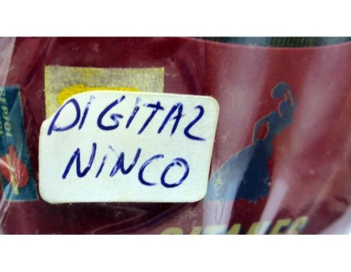 ALFA ROMEO 156 DTM FLY RACING CON DIGITAL NINCO