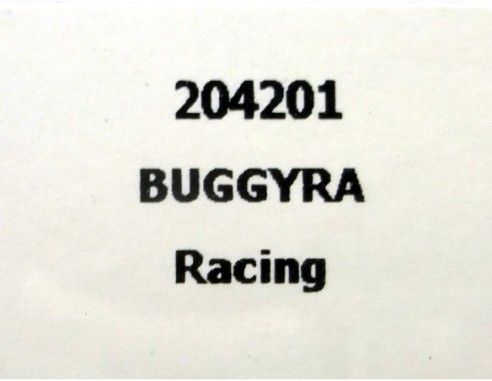 CAMION BUGGYRA RACING ROJO REF.204201 FLYSLOT