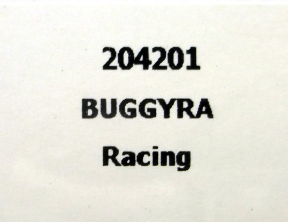 CAMION BUGGYRA RACING ROJO REF.204201 FLYSLOT