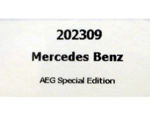CAMION MERCEDES BENZ AEG SPECIAL EDITION REF.202309 FLYSLOT