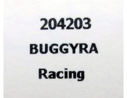 CAMION BUGGYRA RACING CEPSA ANTONIO ALBACETE REF.204203 FLYSLOT
