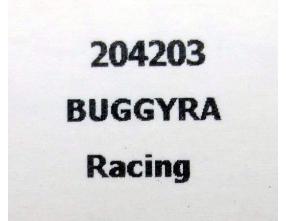 CAMION BUGGYRA RACING CEPSA ANTONIO ALBACETE REF.204203 FLYSLOT