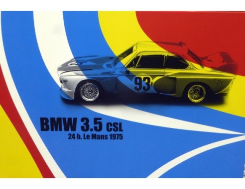 BMW 3.5 CSL 24H LE MANS 1975 E684 REF.96048 FLY