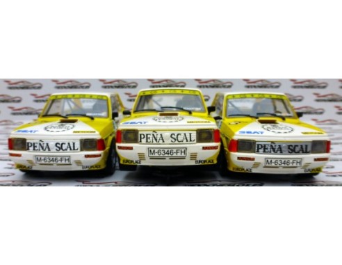 PRUEBAS DE TAMPOGRAFIA SEAT FURA CRONO PEÑASCAL