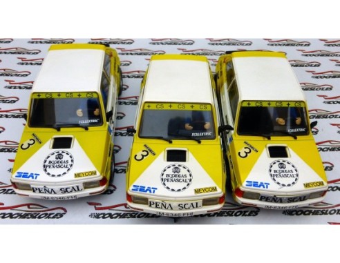PRUEBAS DE TAMPOGRAFIA SEAT FURA CRONO PEÑASCAL