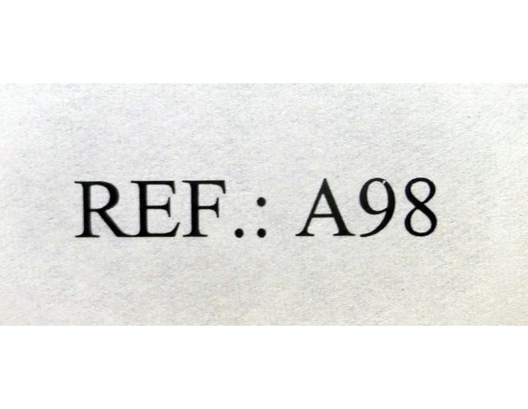 PANOZ LMP-1 6ºTEXAS GRAND PRIX 2001 REF.A98 FLY