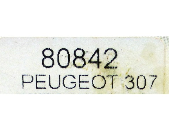 CHASIS PEUGEOT 307 REF.80842 NINCO