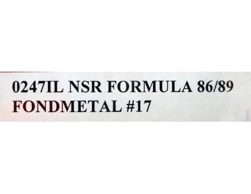 FORMULA 1 86/89 FONDMETAL Nº17 REF.0247IL NSR