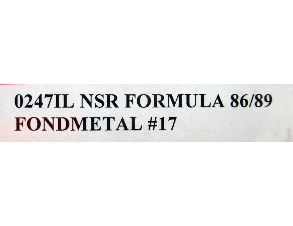 FORMULA 1 86/89 FONDMETAL Nº17 REF.0247IL NSR