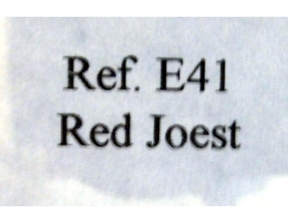 JOEST PORSCHE UK SPECIAL EDITION	FABRICADO PARA INGLATERRA REF.E41 FLY