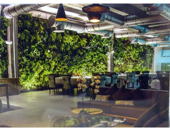 BMW M1 ED.ESPECIAL STUDIOLED REF.E2028 FLY