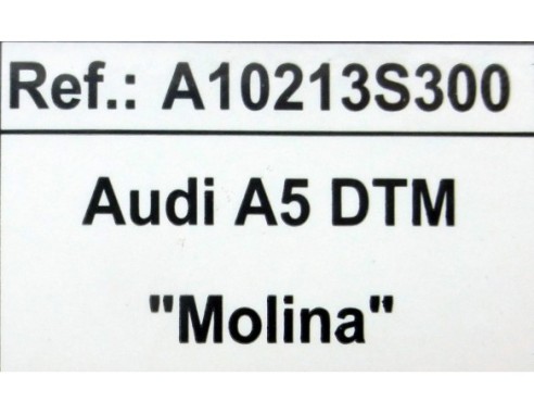 AUDI A5 DTM “MOLINA” REF.A10213S300 EDUCA