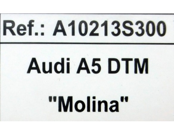 AUDI A5 DTM “MOLINA” REF.A10213S300 EDUCA