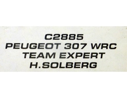 PEUGEOT 307 WRC TEAM EXPERT REF.C2885 SUPERSLOT