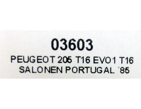 PEUGEOT 205 T16 EVO1 SALONEN PORTUGAL 1985 REF.03603 SRC