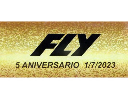 PORSCHE 934 LE MANS 1977 5ºANIVERSARIO REF.A2056 FLY