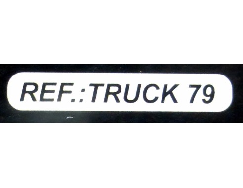 BUGGYRA VERDE RACING REF.TRUCK79 FLY