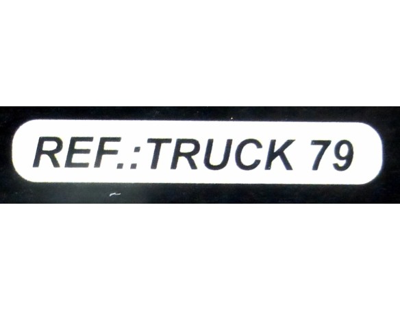 BUGGYRA VERDE RACING REF.TRUCK79 FLY