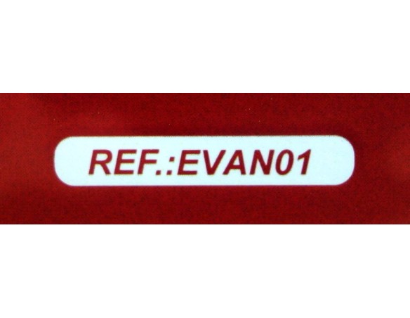 FORD TRANSIT SPECIAL EDITION COCA COLA REF.EVAN01 FLY