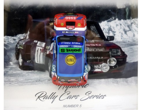 CUADRO RENAULT 5 HISTORIC RALLY CARS SERIES 5 FLY