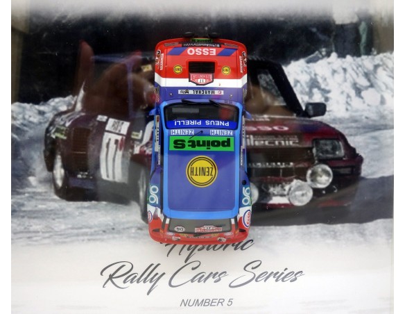 CUADRO RENAULT 5 HISTORIC RALLY CARS SERIES 5 FLY