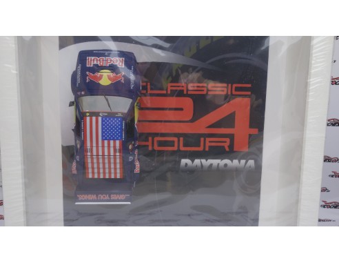 CUADRO BMW M1 RED BULL FLY