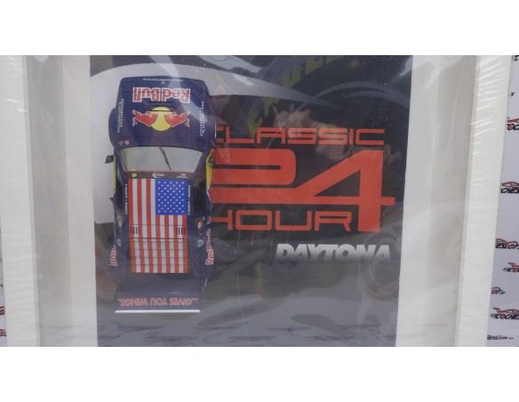 CUADRO BMW M1 RED BULL FLY