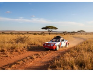 PRE-RESERVA PORSCHE 911 SC SERVICE CAR RALLY SAFARI 1978 MARTINI  FLY 2