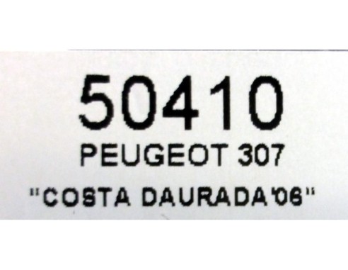 PEUGEOT 307 COSTA DAURADA 2006 REF.50410 NINCO