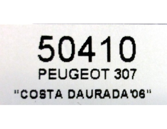 PEUGEOT 307 COSTA DAURADA 2006 REF.50410 NINCO