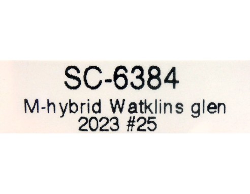 BMW M-Hybrid V8 GTP Nº25 de Watkins Glen 2023 REF.SC6384 SCALEAUTO