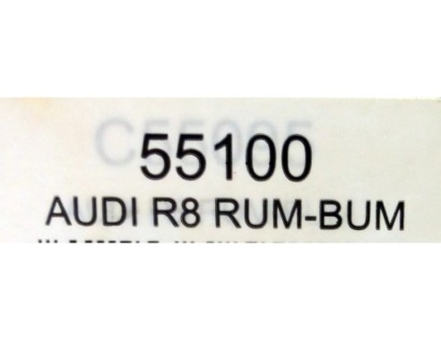 AUDI R8 RUM-RUM REF.55100 NINCO